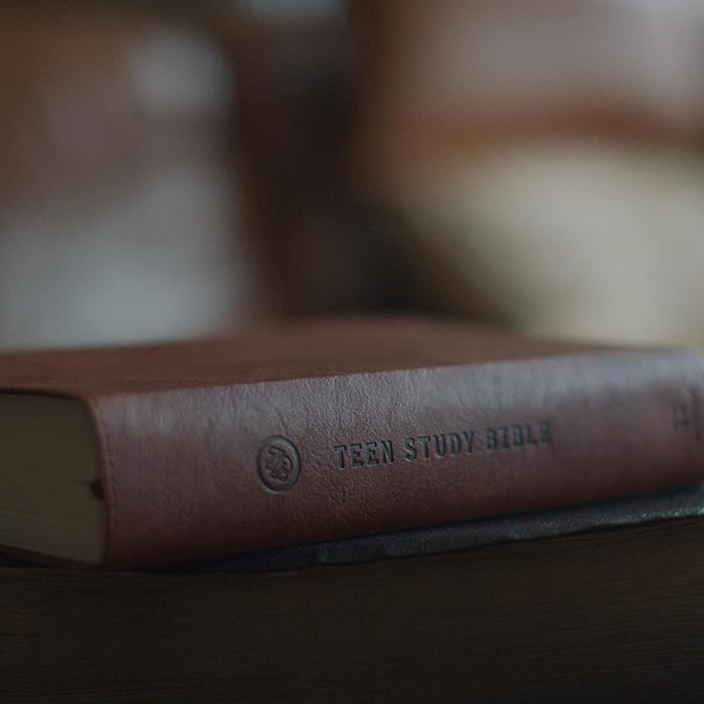 ESV Teen Study Bible, Burnt Sienna