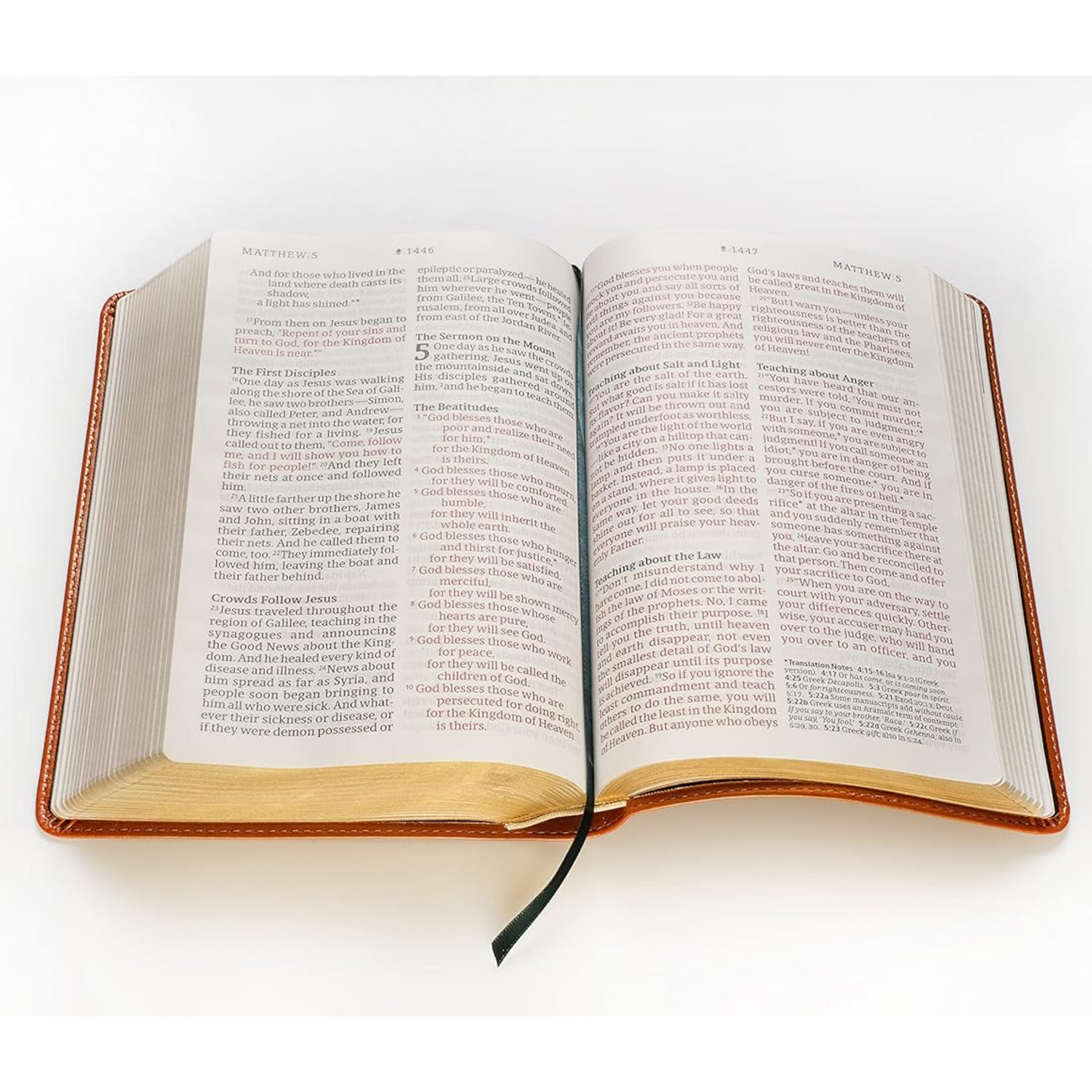 NLT Personal Size Giant Print Bible (Filament Enabled), Leatherlike
