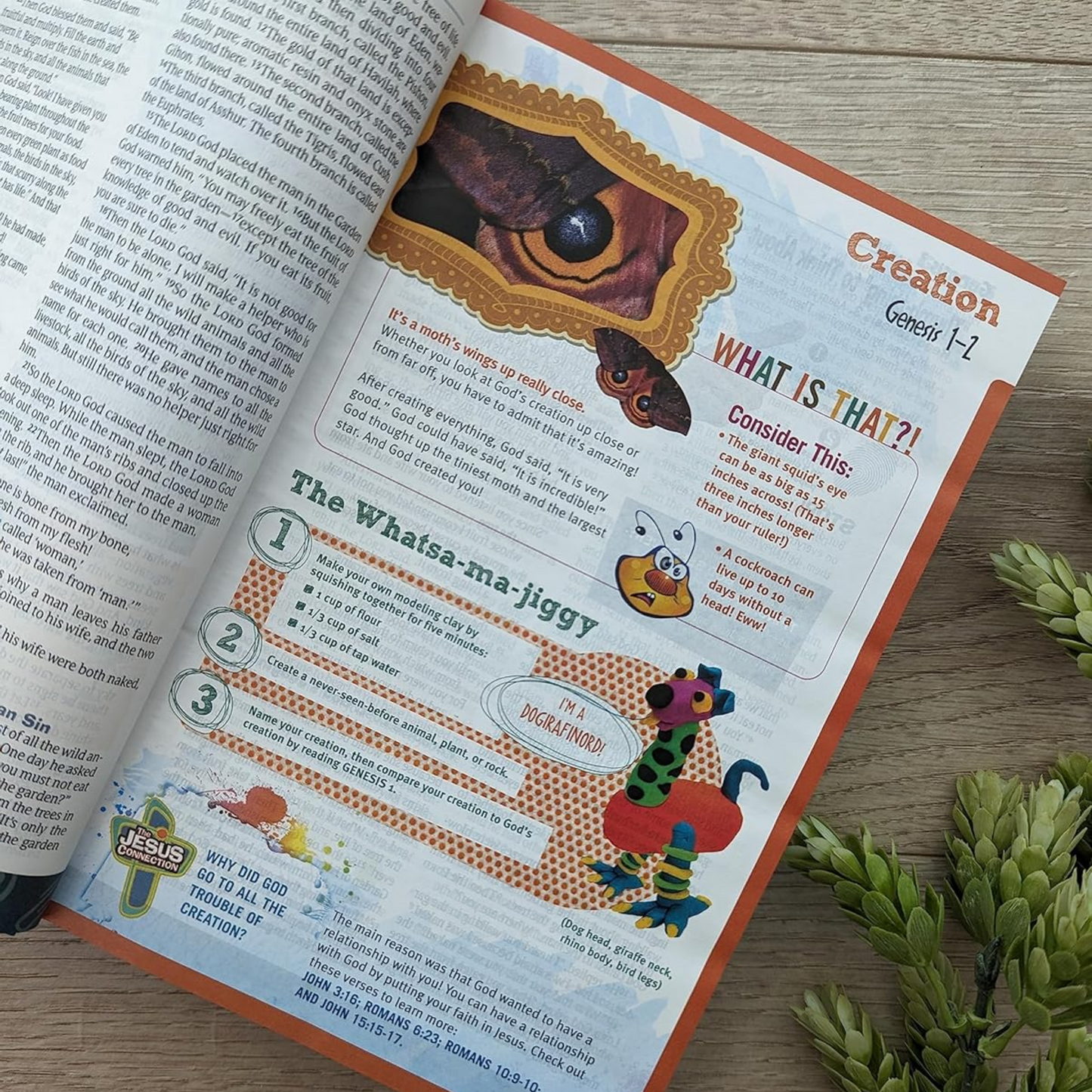 NLT Hands-On Bible, Third Ed