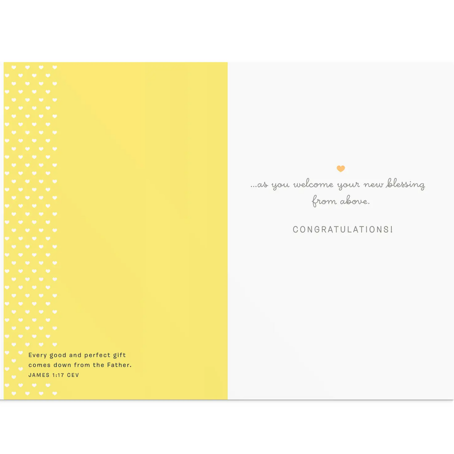 Baby Shower - Joy and Love (#J3310)