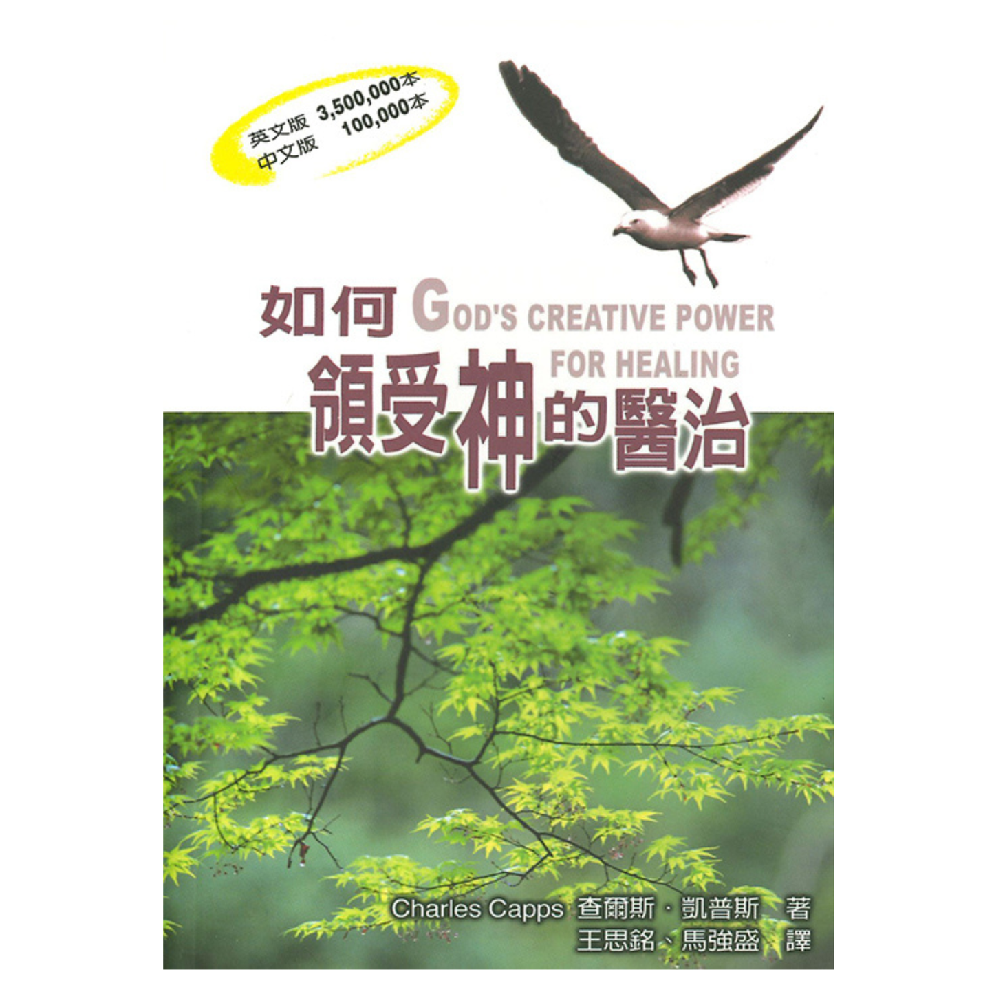 God's Creative Power for Healing (如何領受神的醫治)