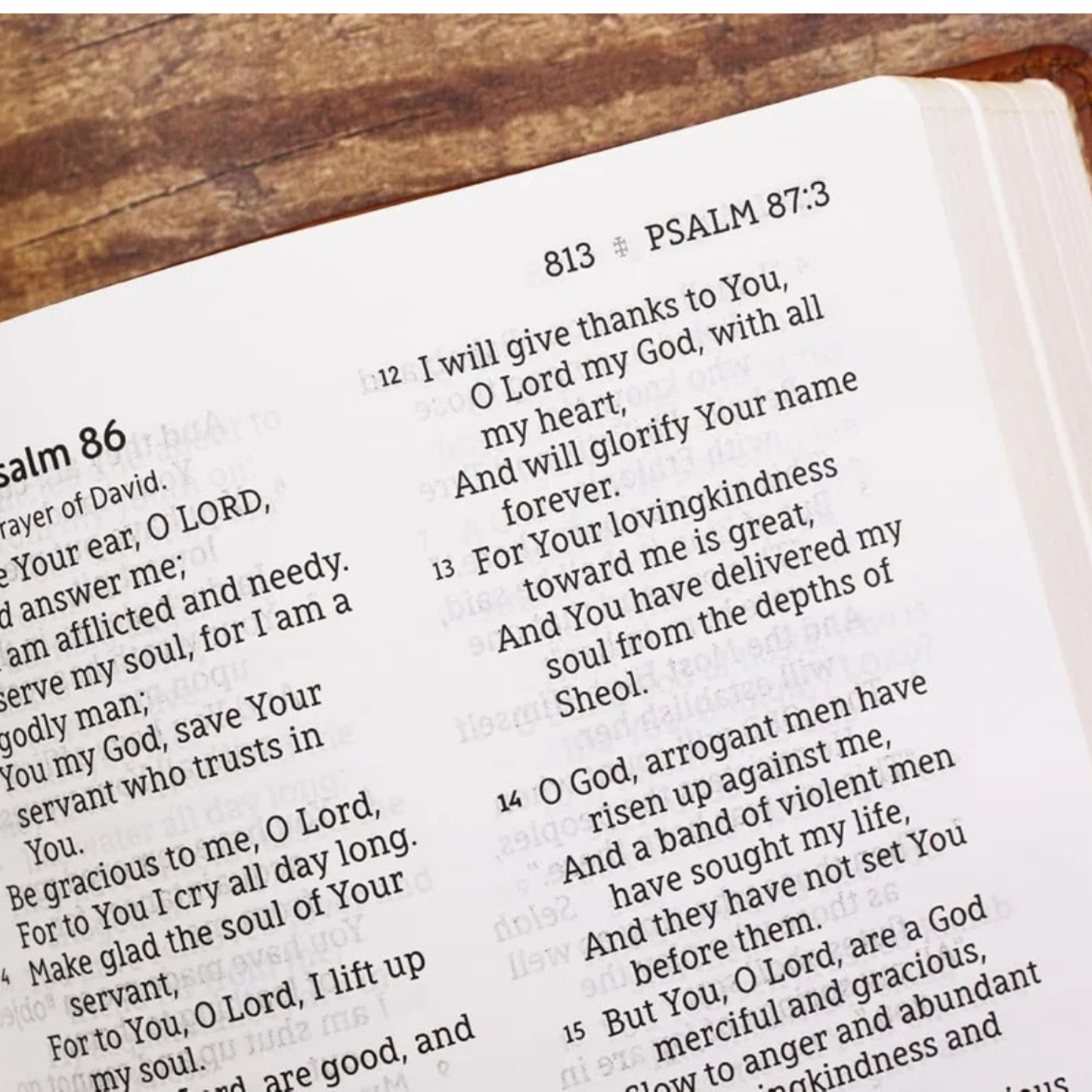 NASB, Personal Size Bible, Large Print (1995 Text), Brown Leathersoft