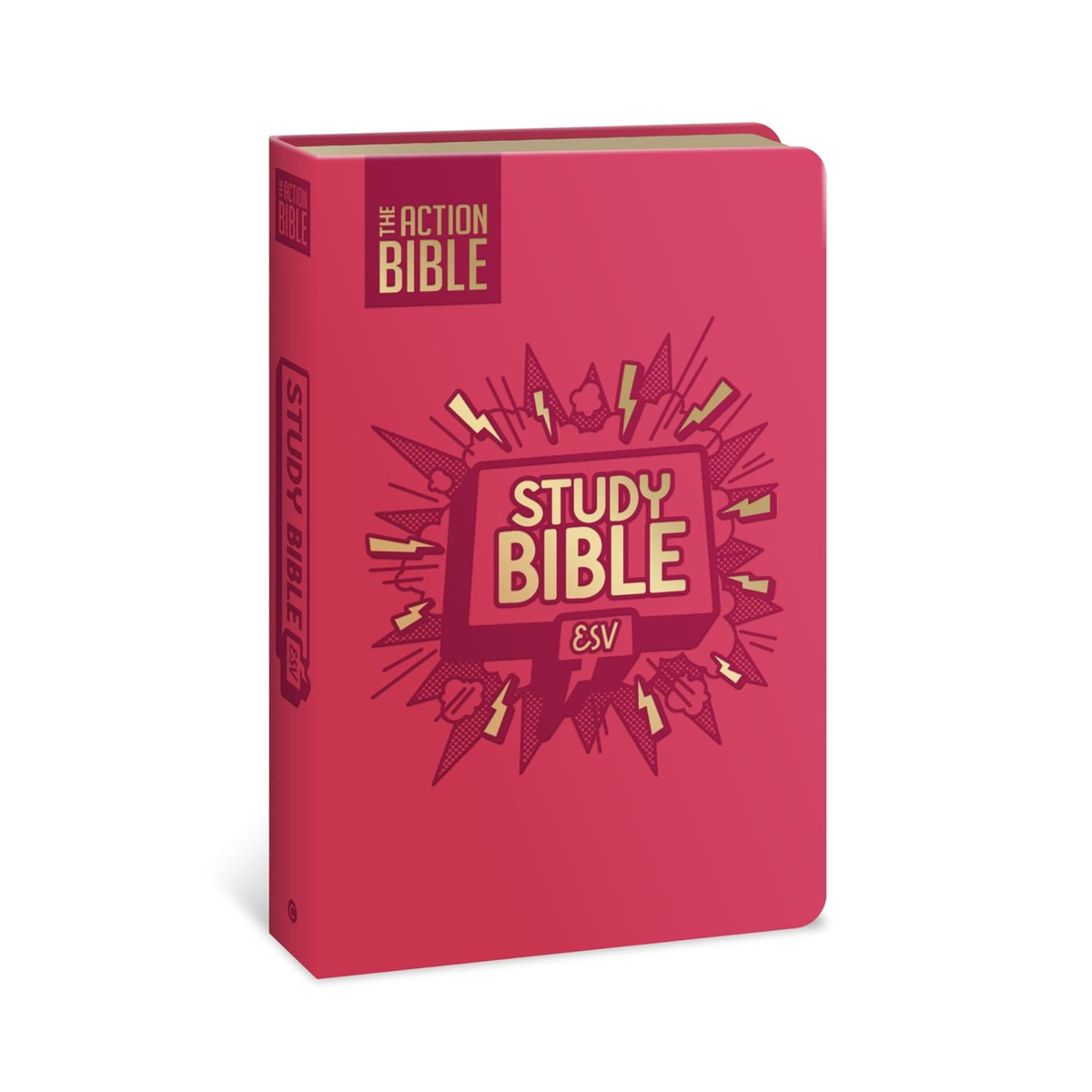 ESV: The Action Bible Study Bible (Action Bible Series)