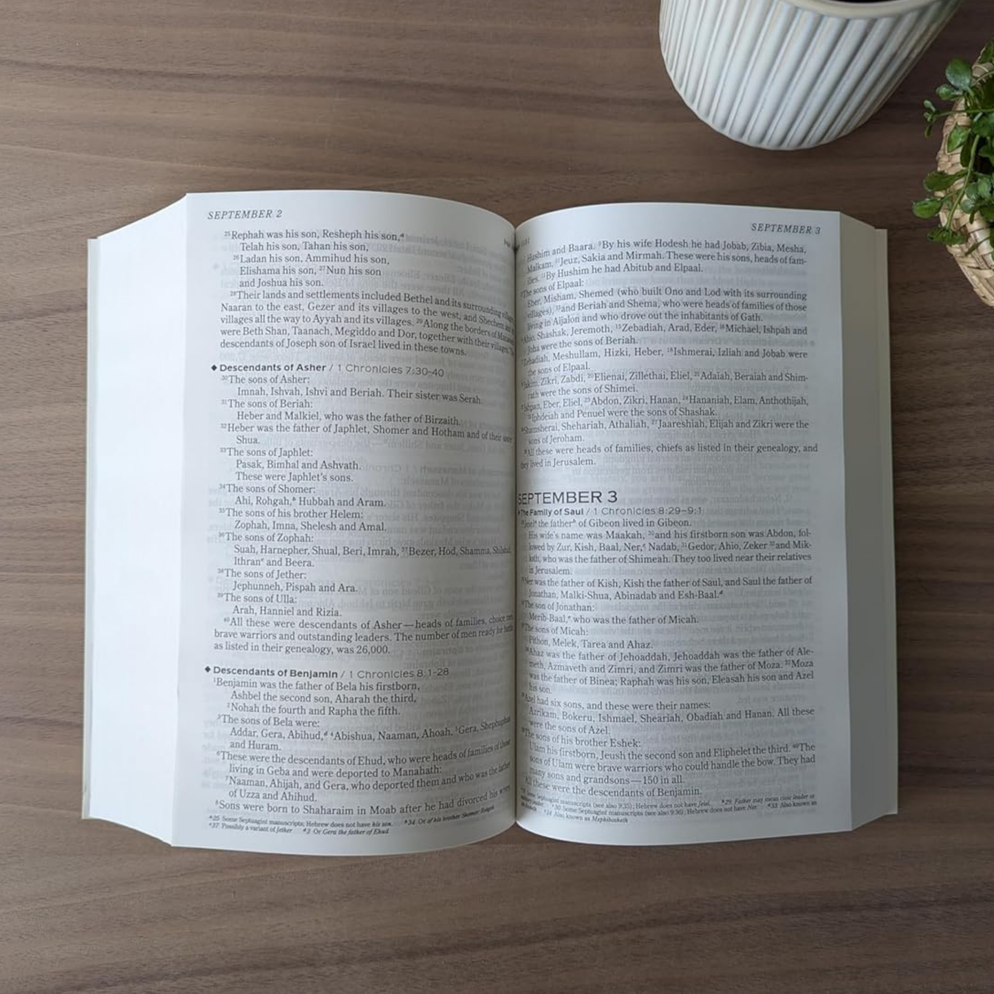 NIV, The One Year Chronological Bible (Softcover)