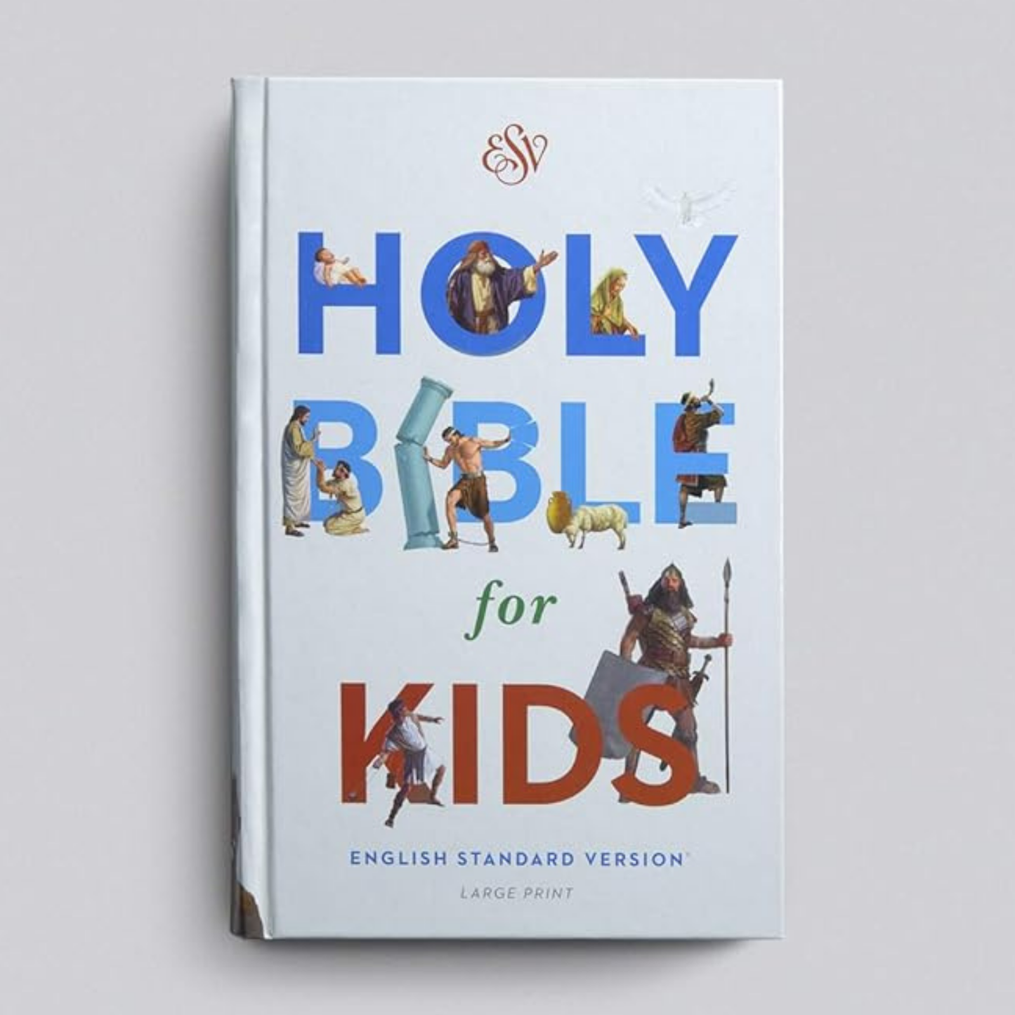 ESV Holy Bible for Kids, Large Print (Hardcover)