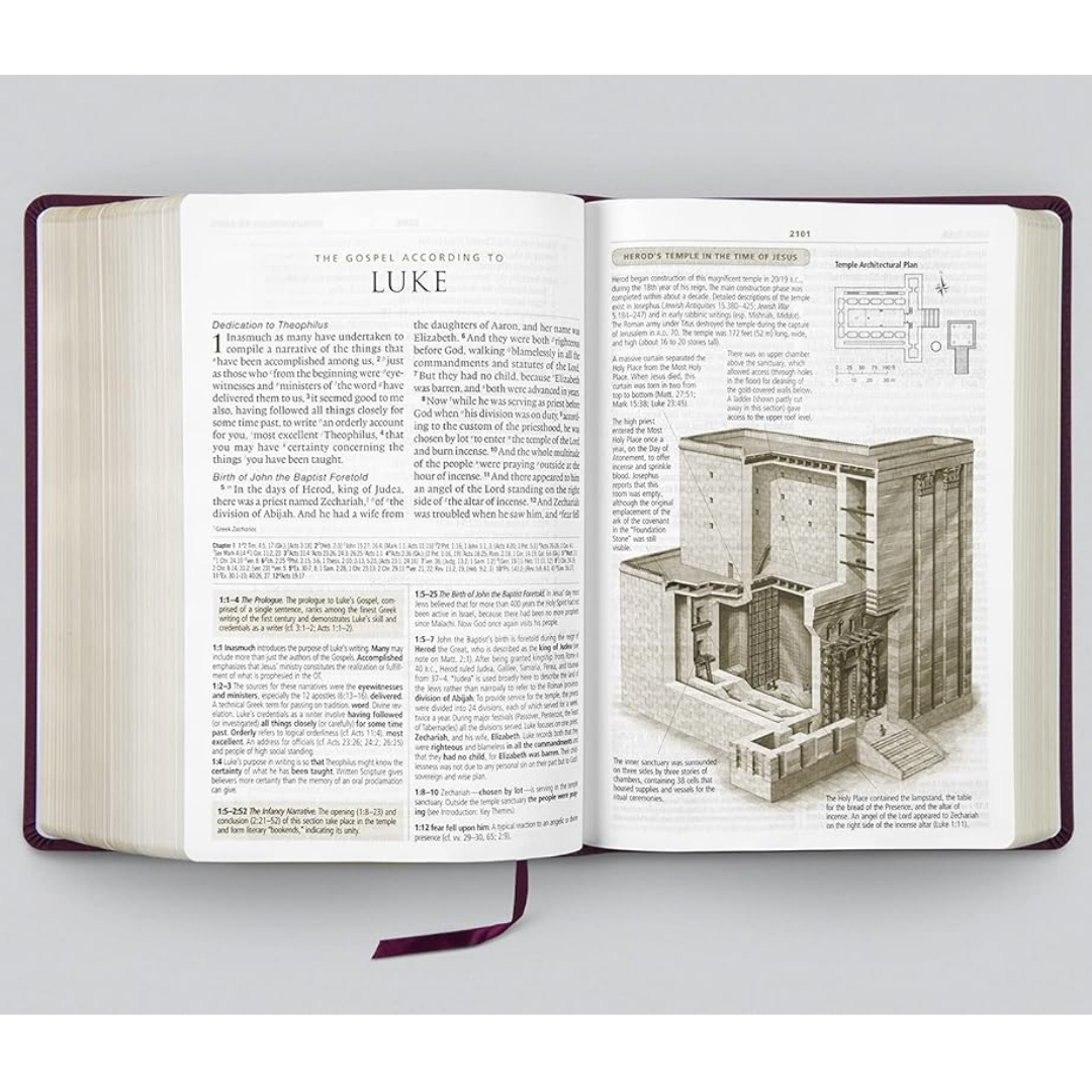 ESV Study Bible, Large Print, Burgundy (Bonded Leather)