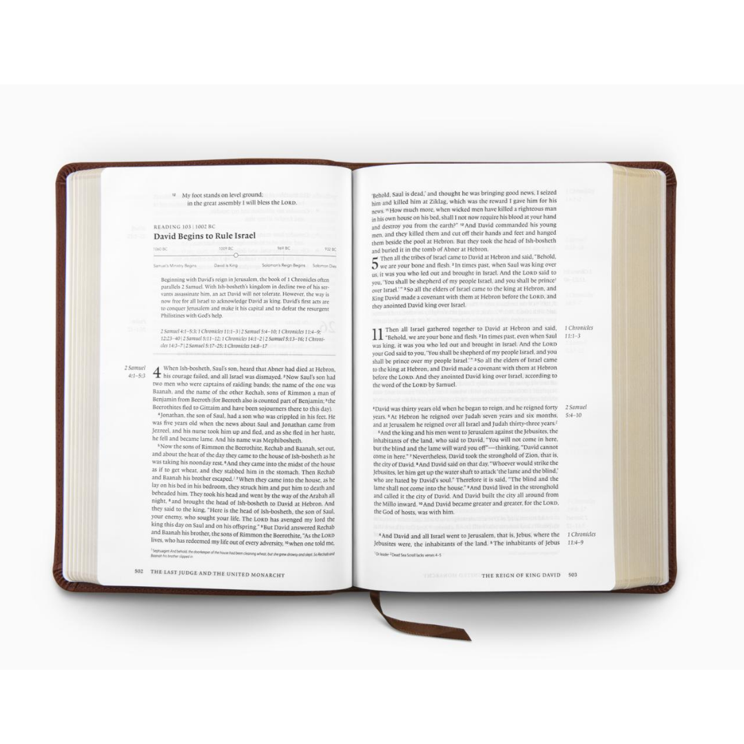 ESV Chronological Bible, TruTone®, Brown