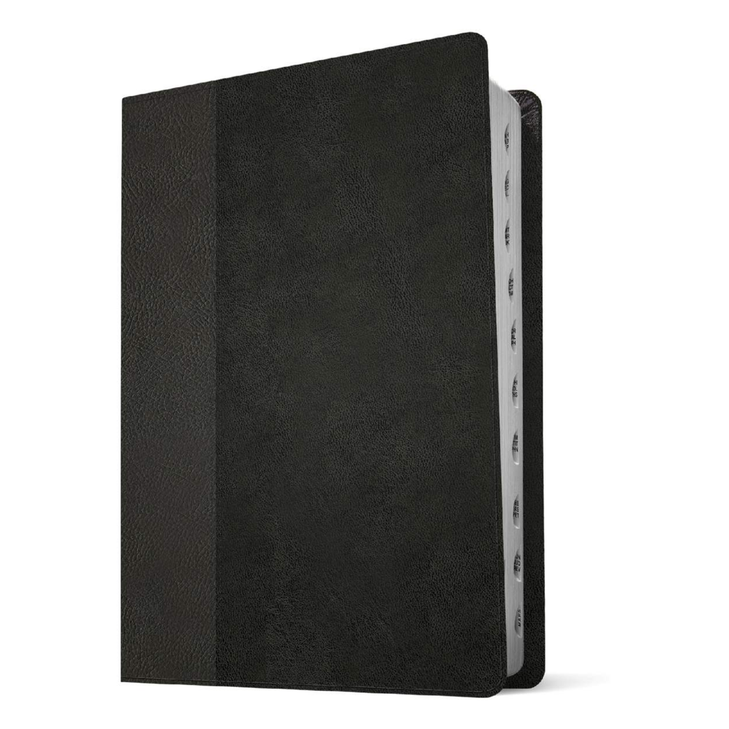 NLT Personal Size Giant Print Bible