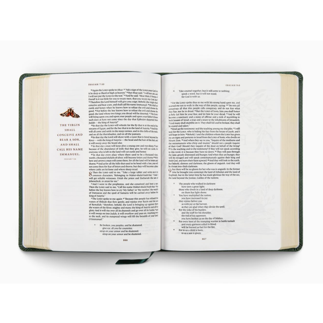 ESV GraceLaced Bible, Journaling Edition, TruTone®, Quiet Forest