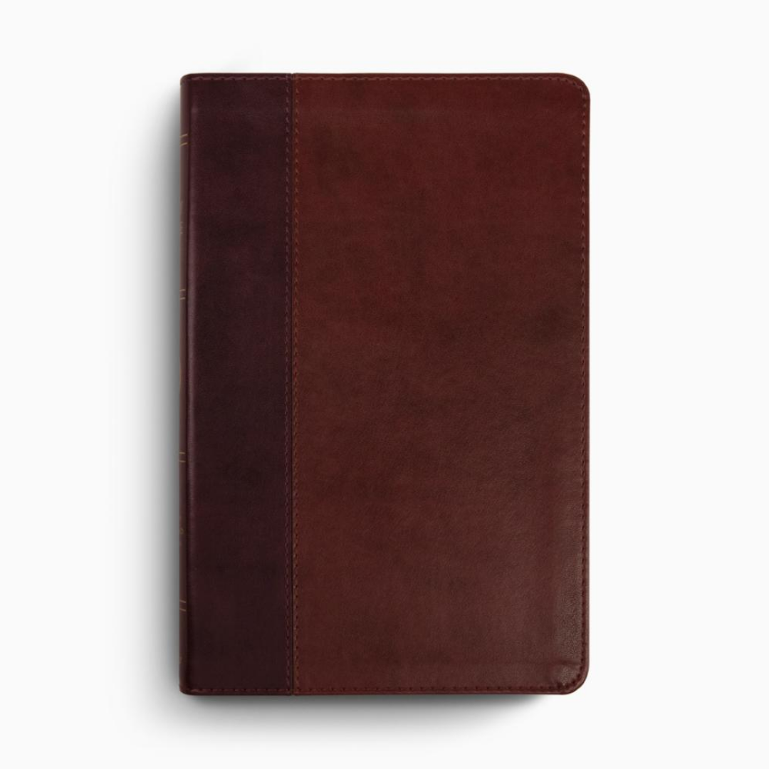ESV Large Print Thinline Bible, TruTone®, Burgundy/Red