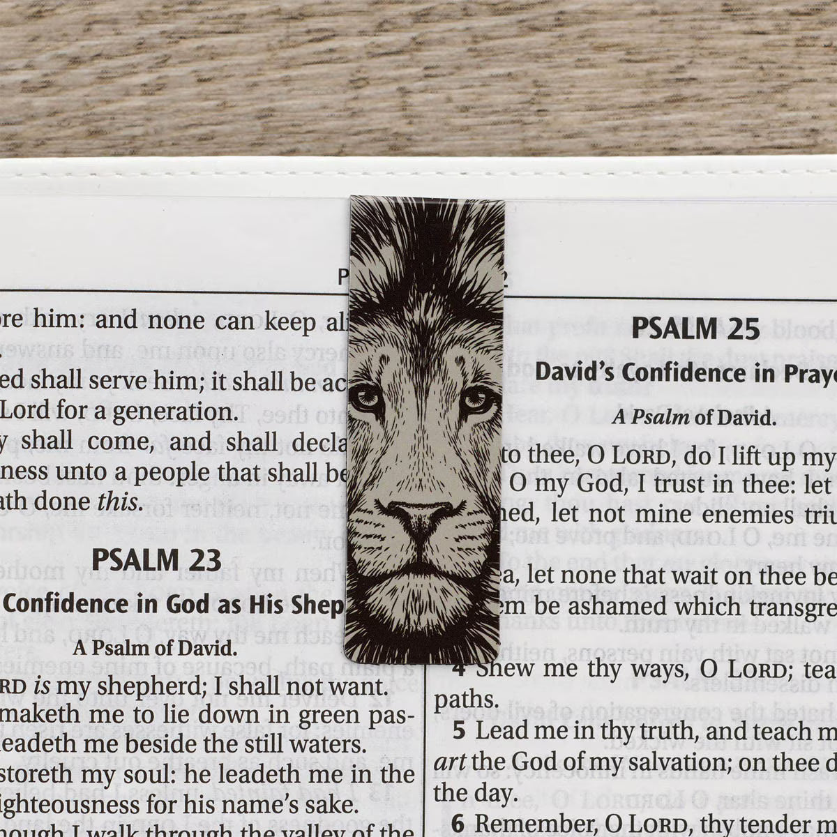 Magnetic Bookmark Set - Strong and Courageous, Joshua 1:9 (MGB078)