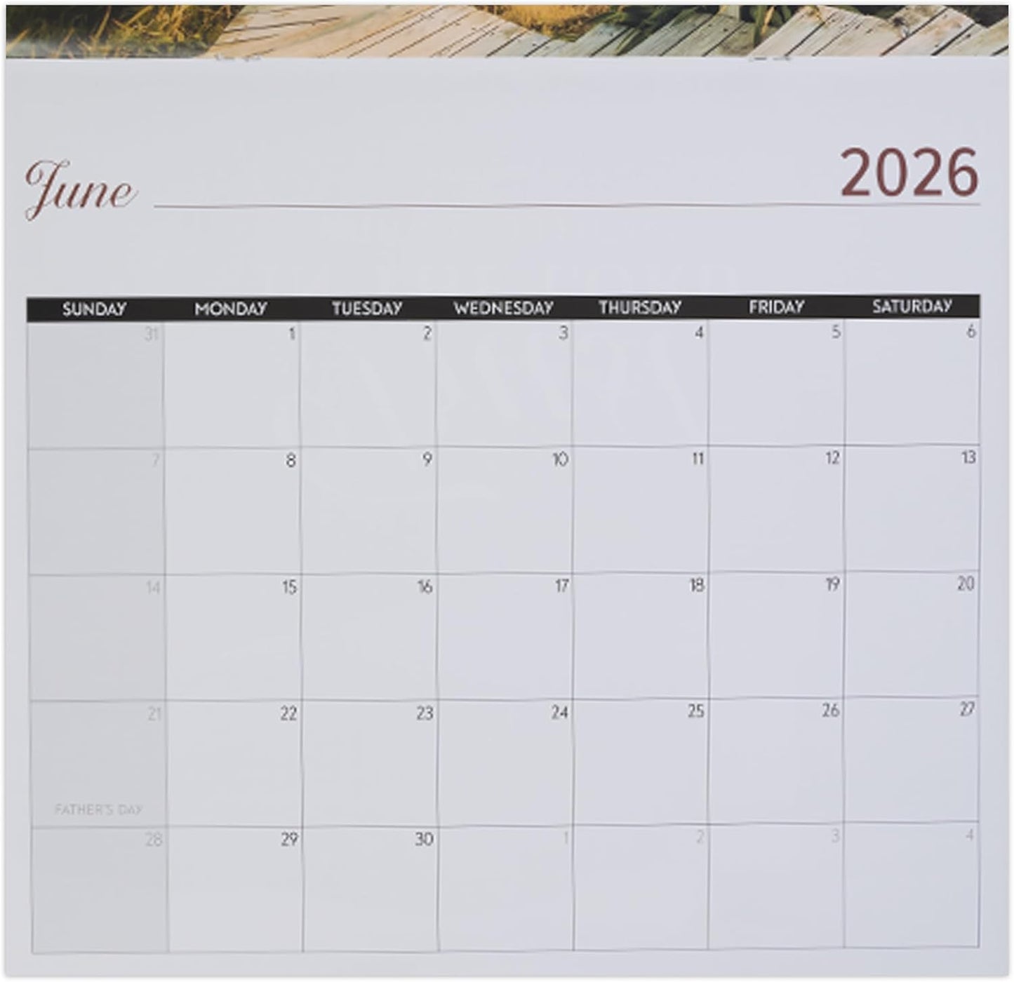2026 Large Wall Calender - The Light (CAL245)