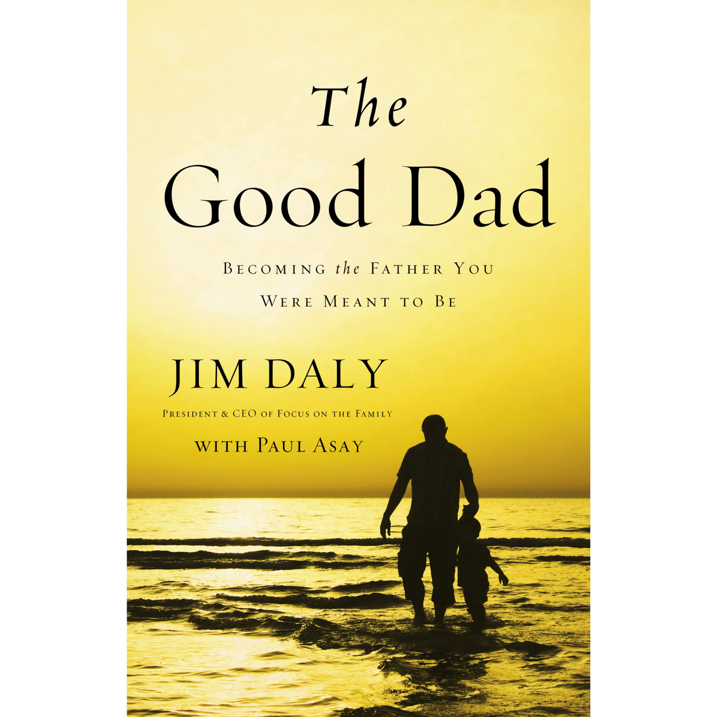The Good Dad: Becoming the Father You Were Meant to Be