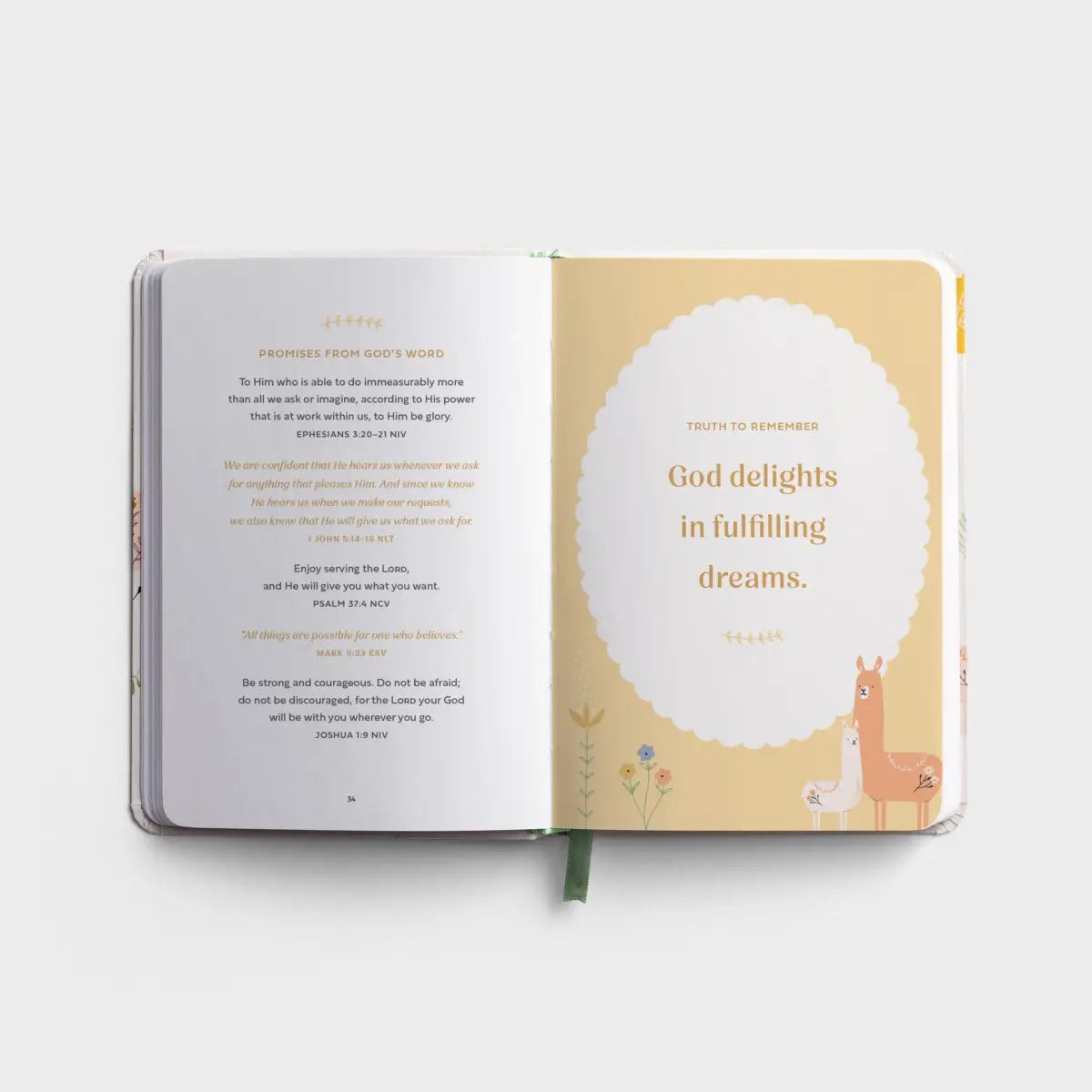 Prayers & Affirmations for You & Your Baby - Devotional