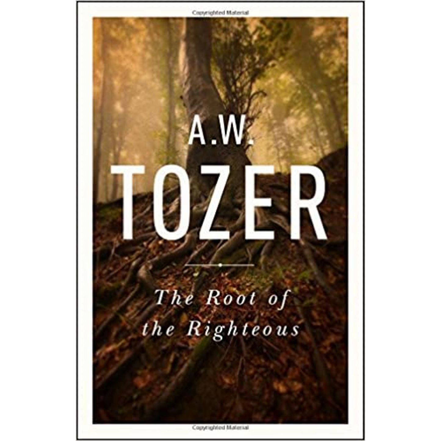 The Root Of The Righteous