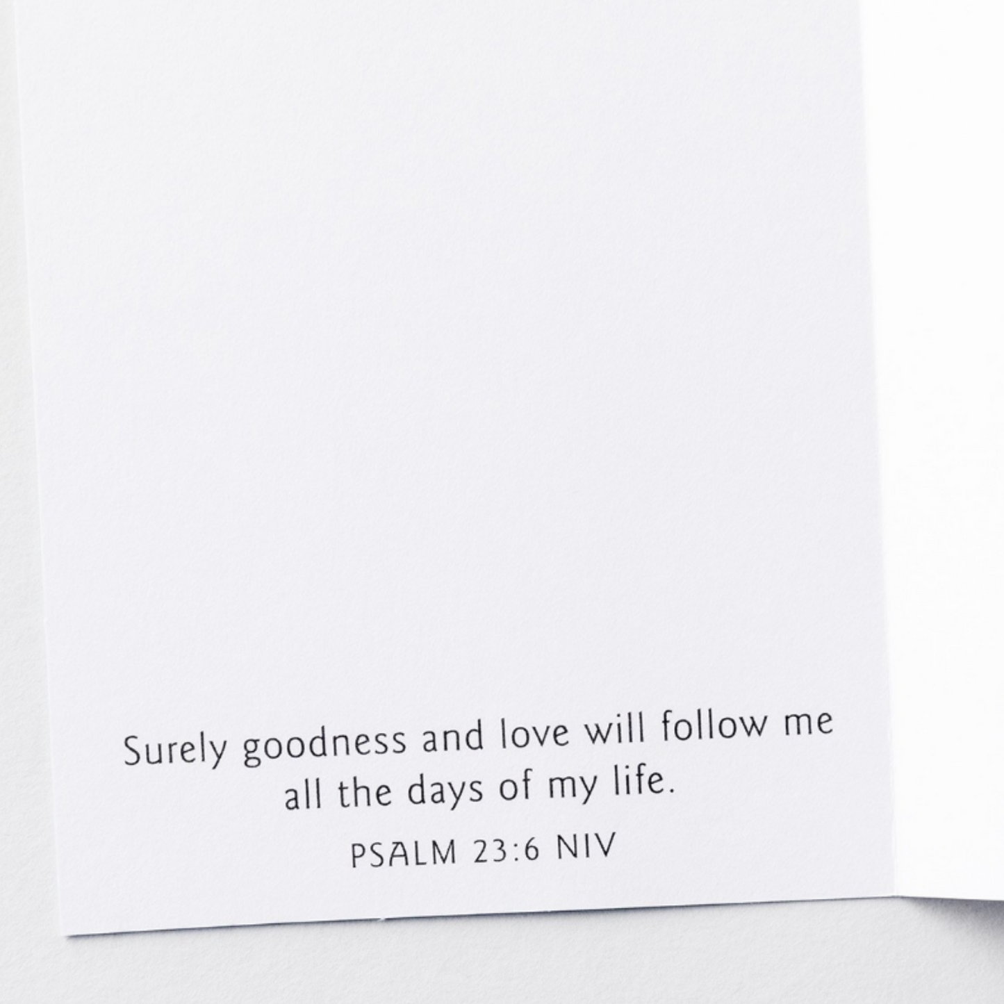 Little Inspirations - Birthday Blessings To You (#30983)