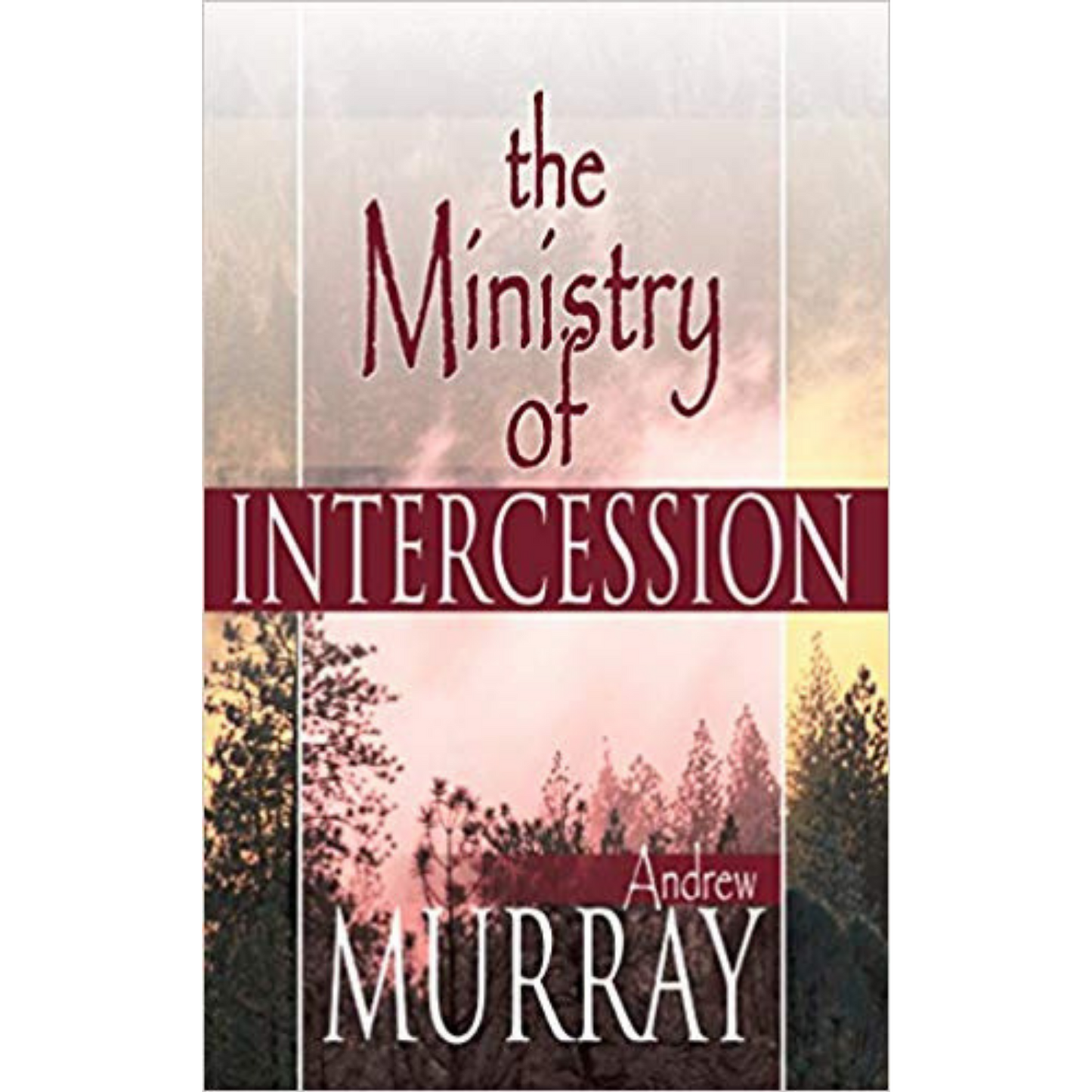The Ministry Of Intercession
