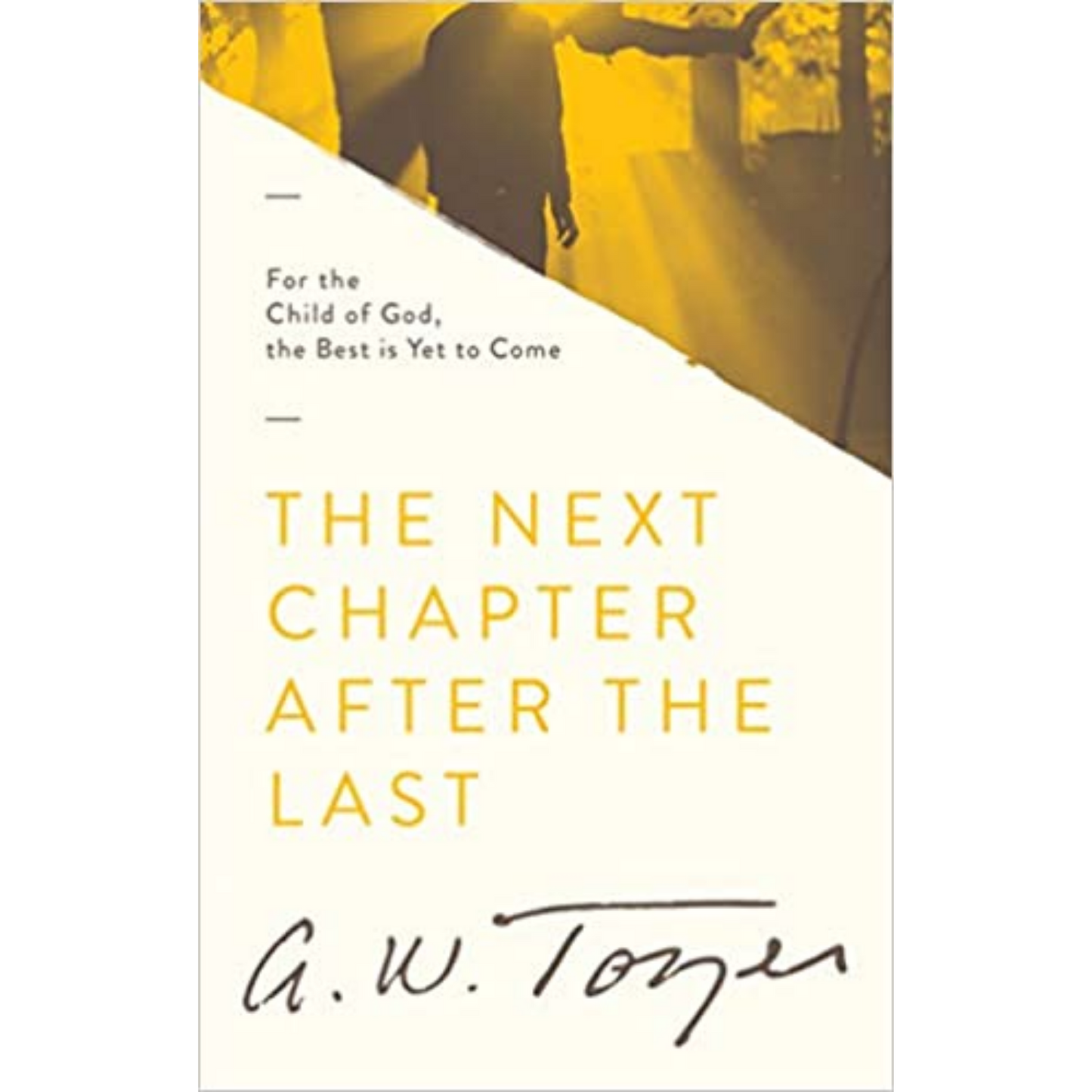 Next Chapter After The Last