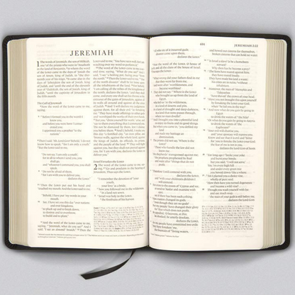 ESV Thinline Reference Bible