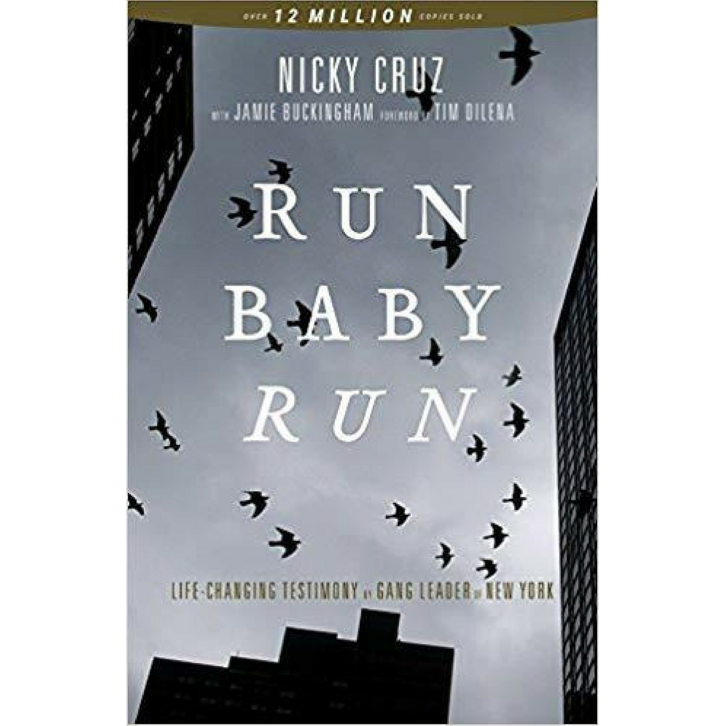 Run Baby Run - New Edition