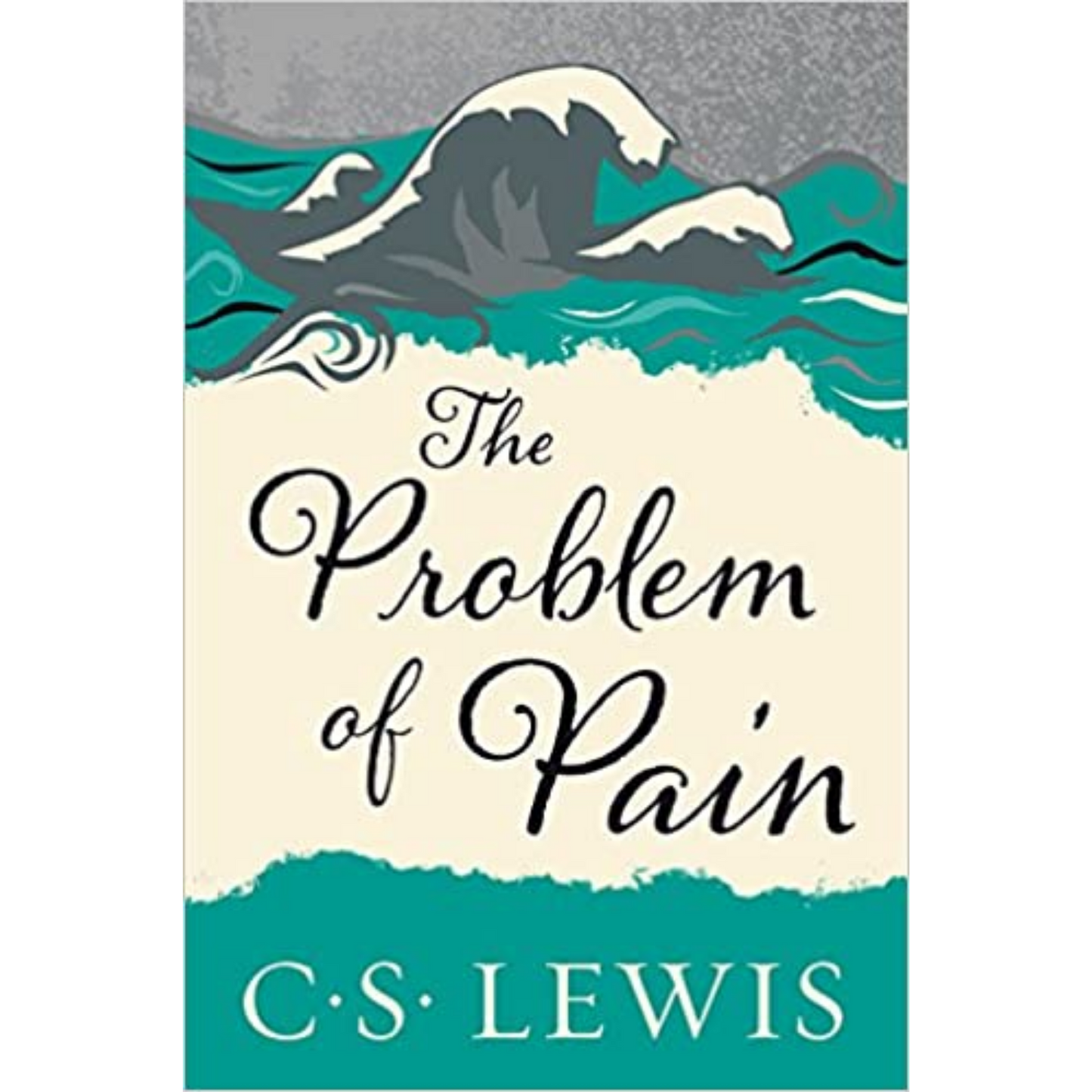 The Problem Of Pain