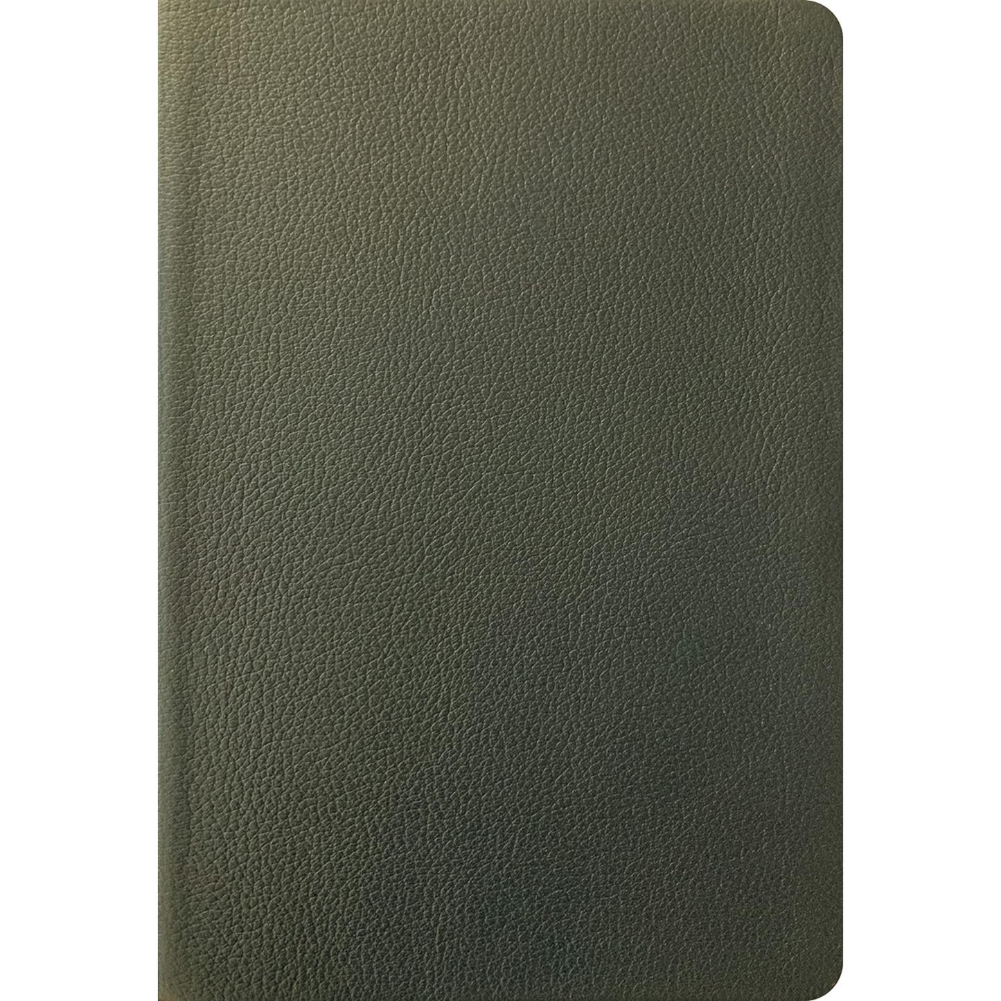 NLT Large Print Thinline Reference, Filament Enabled Edition, Olive Green Genuine Leather