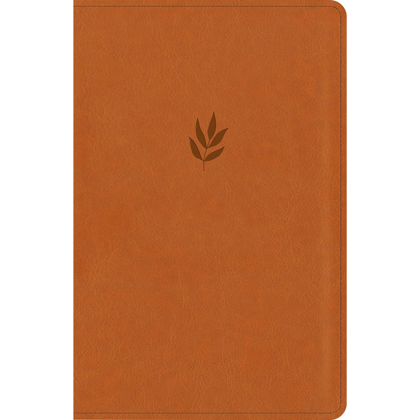 NLT Personal Size Giant Print Bible (Filament Enabled), Leatherlike
