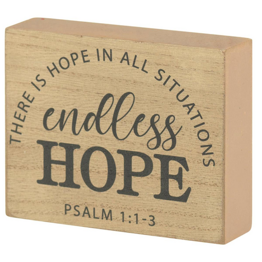 Mini Wood Plaque - ENDLESS HOPE 4X3 (#TPLK43-329)