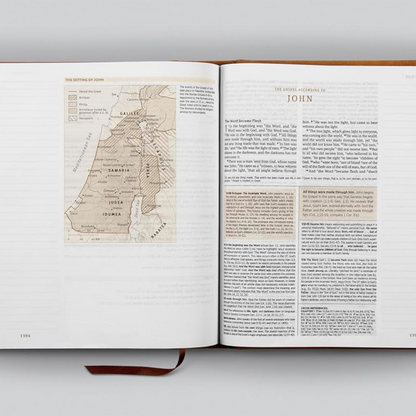 ESV Journaling Study Bible, TruTone® over Board, Nubuck Caramel