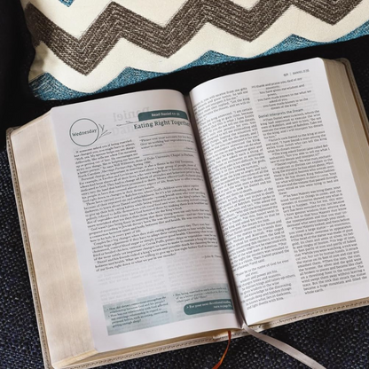 NIV Couples' Devotional Bible, Leathersoft - Stone