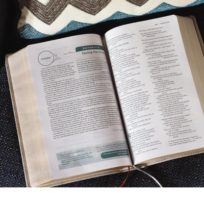 NIV Couples' Devotional Bible, Leathersoft - Stone