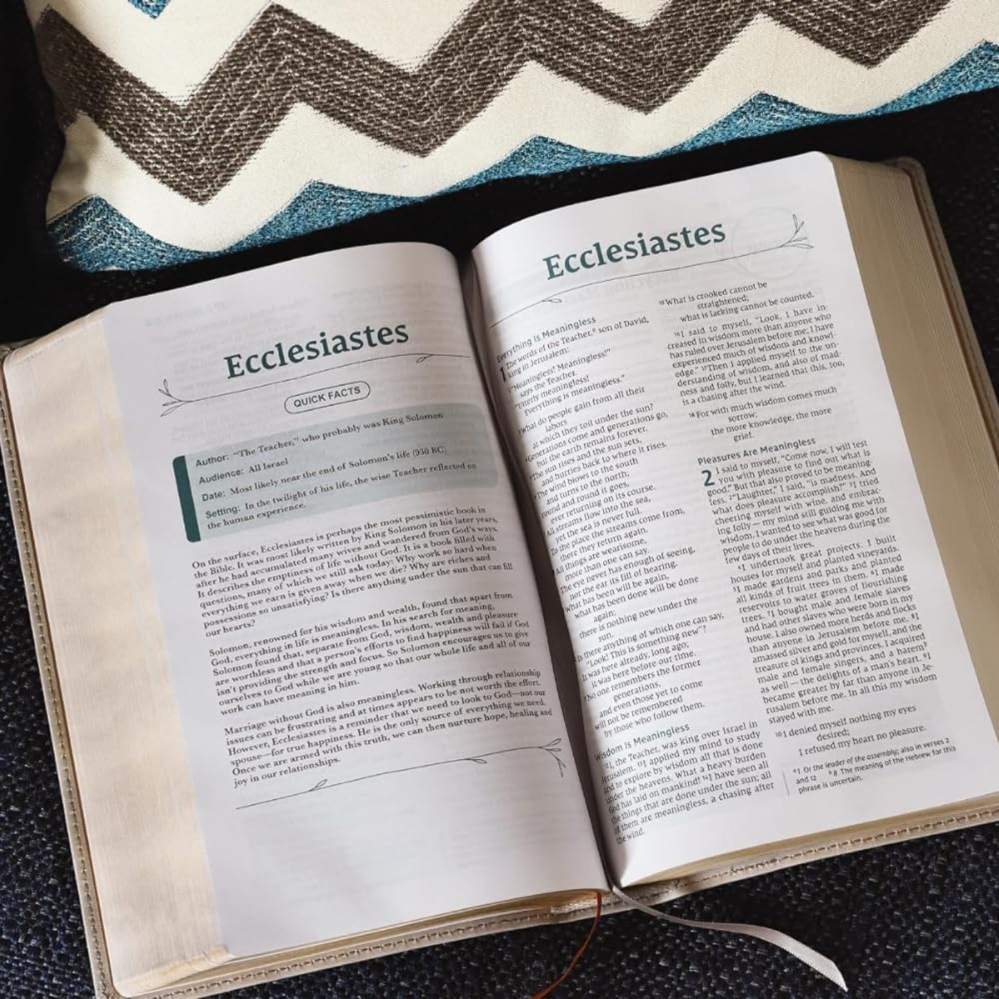 NIV Couples' Devotional Bible, Leathersoft - Stone