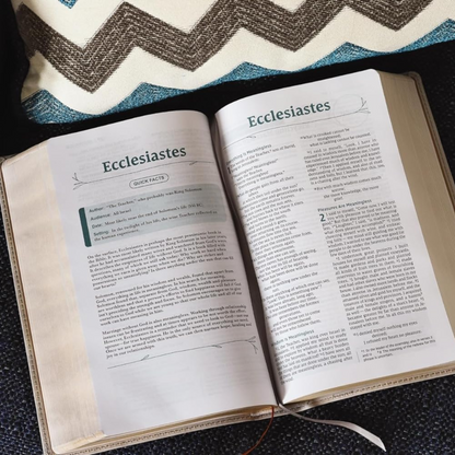 NIV Couples' Devotional Bible, Leathersoft - Stone