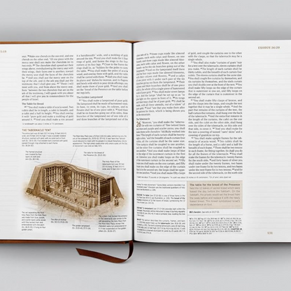 ESV Journaling Study Bible, TruTone® over Board, Nubuck Caramel