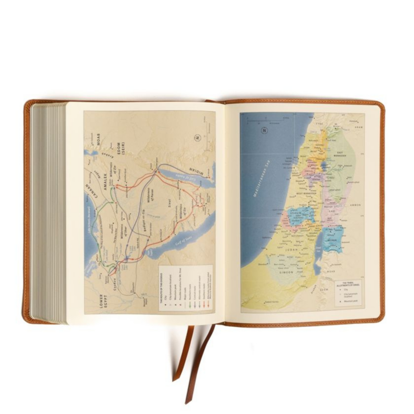 CSB Notetaking Bible, Large Print, LeatherTouch - Camel