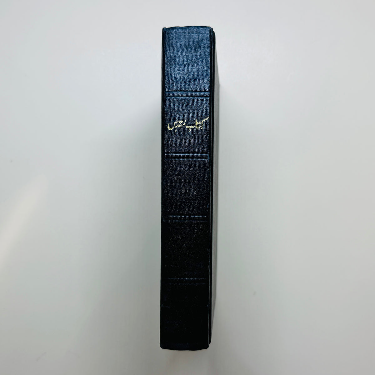 Bible-Urdu