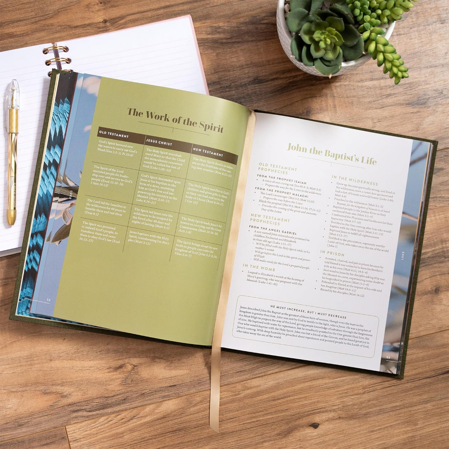 The New Testament Handbook, Sage Cloth Over Board