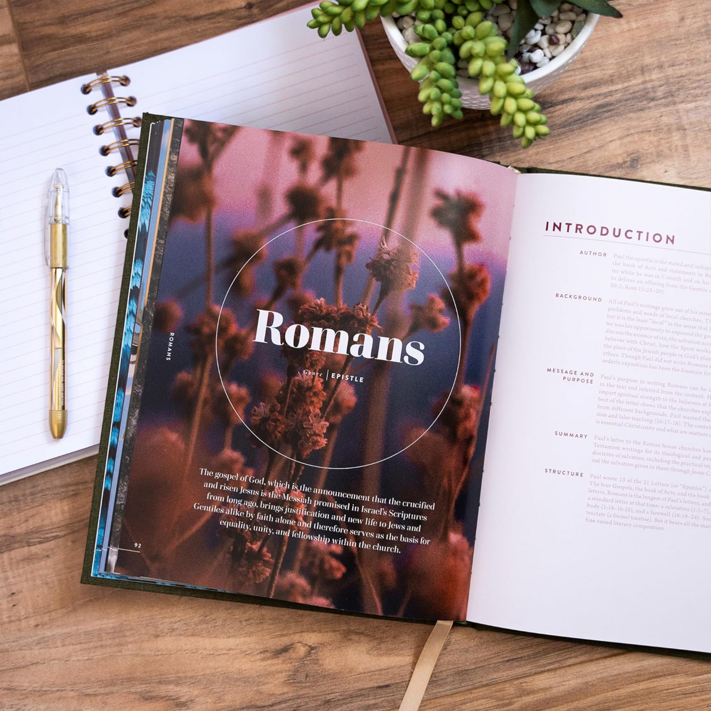 The New Testament Handbook, Sage Cloth Over Board