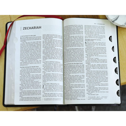 NIV, Thinline Bible, Bonded Leather, Indexed