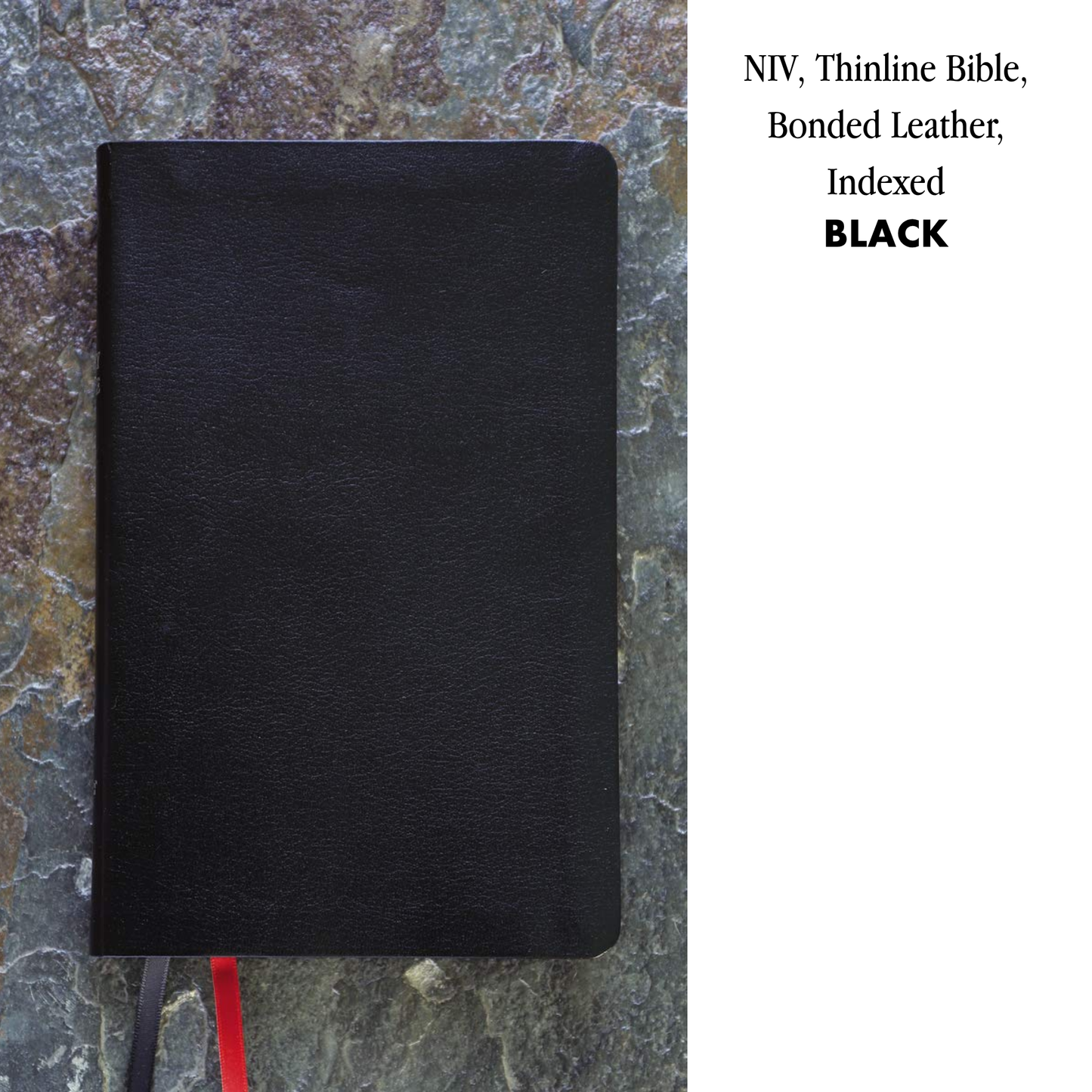 NIV, Thinline Bible, Bonded Leather, Indexed