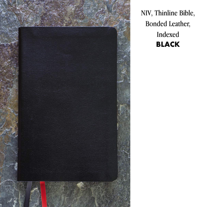 NIV, Thinline Bible, Bonded Leather, Indexed
