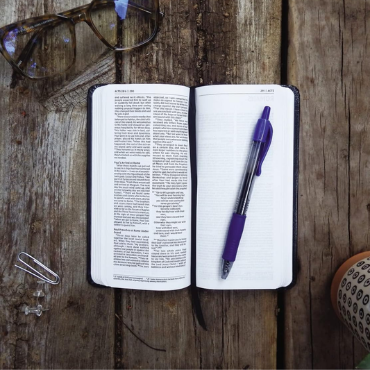 NIV, Journal the Word New Testament, Pocket Bible Edition (Hardcover)