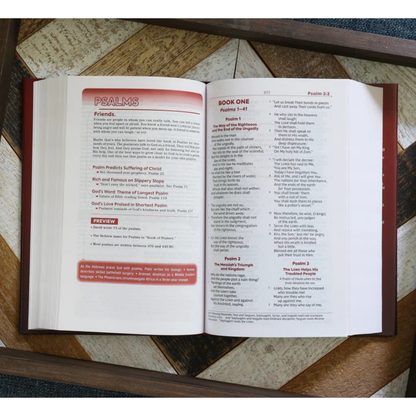 NKJV, Teen Study Bible, Hardcover