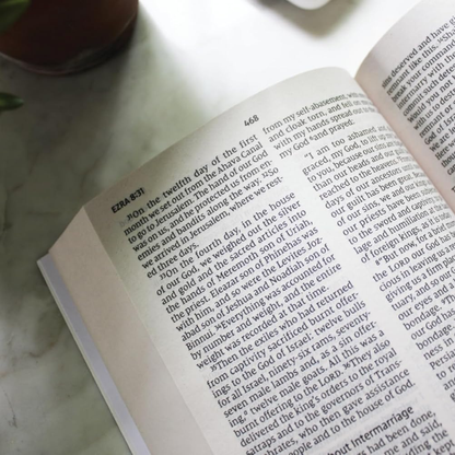 NIV, Holy Bible, Larger Print, Economy Edition, Paperback, Comfort Print