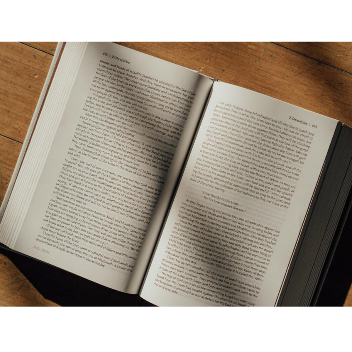 NIV Lectio Bible