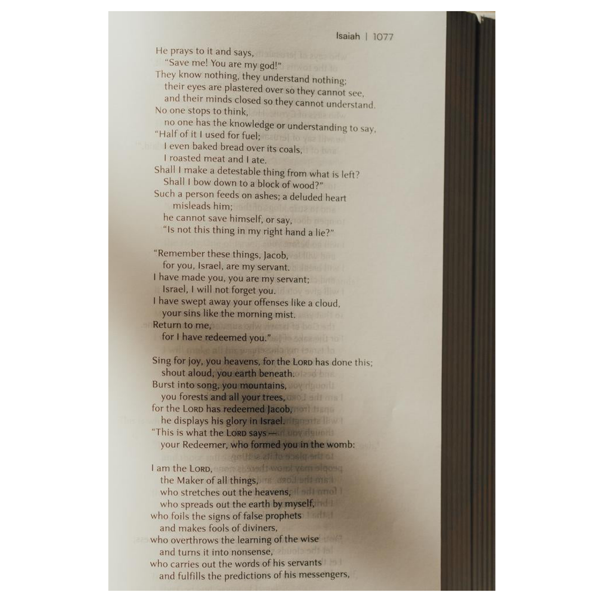 NIV Lectio Bible