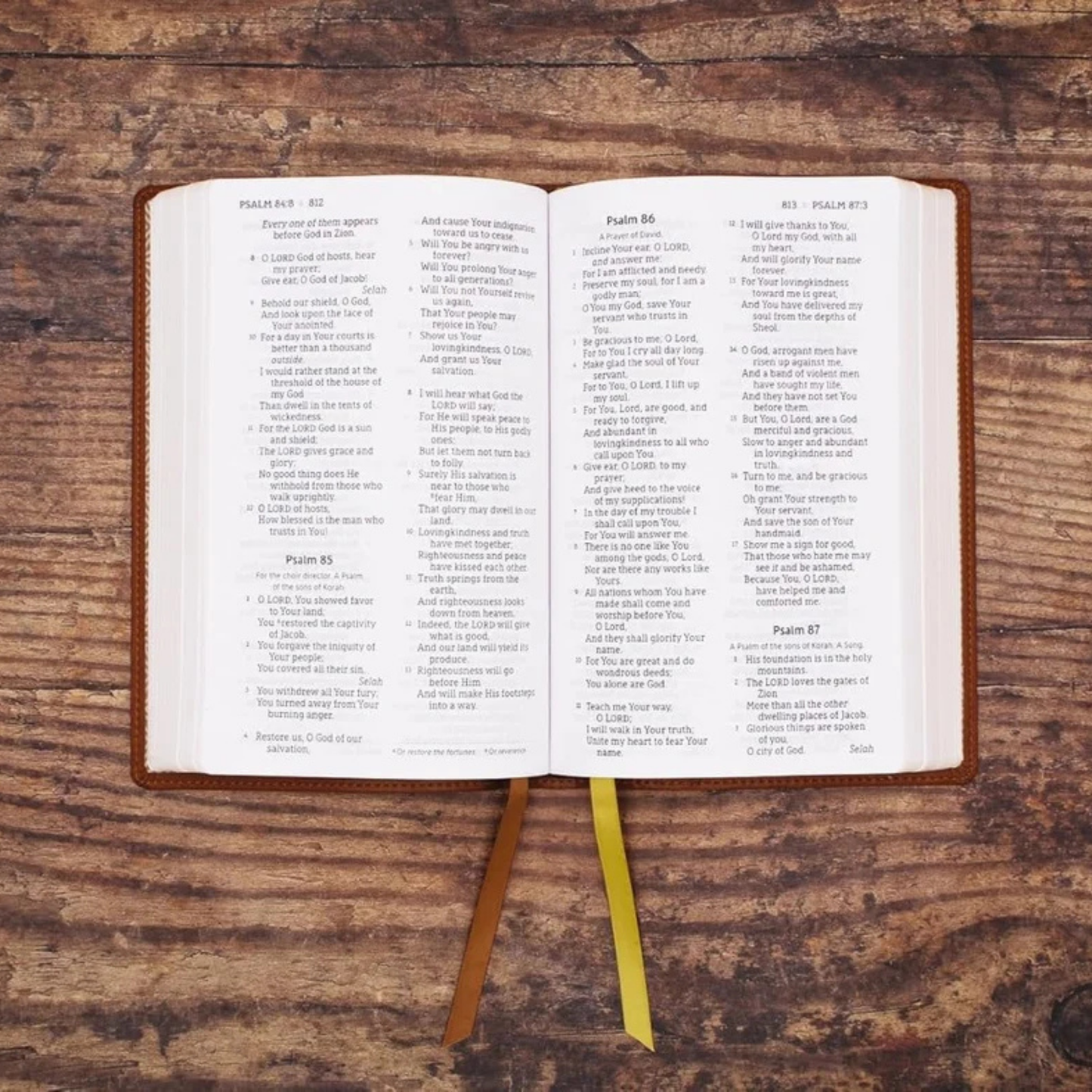 NASB, Personal Size Bible, Large Print (1995 Text), Brown Leathersoft
