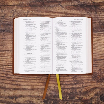 NASB, Personal Size Bible, Large Print (1995 Text), Brown Leathersoft