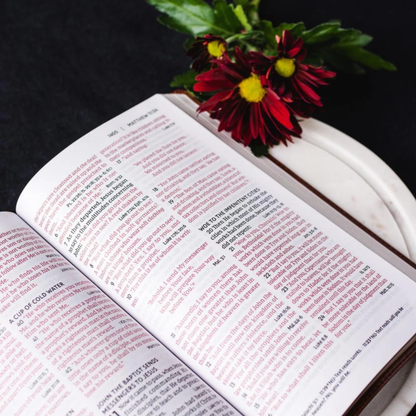 NKJV, End-of-Verse Reference Bible, Personal Size Large Print, Leathersoft