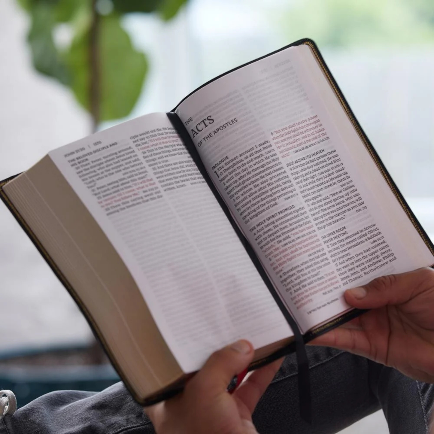 NKJV, End-of-Verse Reference Bible, Personal Size Large Print, Leathersoft